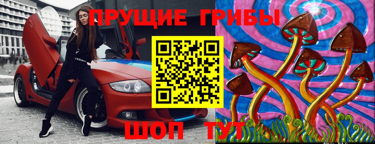 Псилоцибиновые грибы Psilocybine cubensis Улан-Удэ