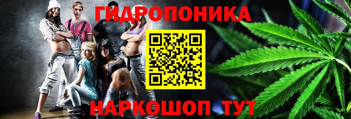 Бошки Шишки планчик Улан-Удэ